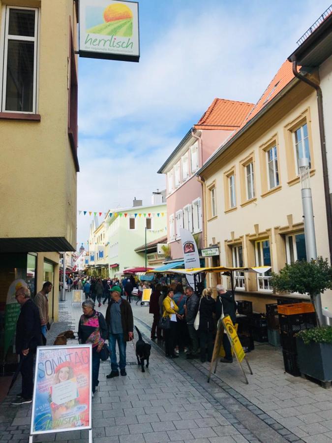 Boutique-Ferienwohnung Im Alten Weinhaus Moser Grunstadt Luaran gambar